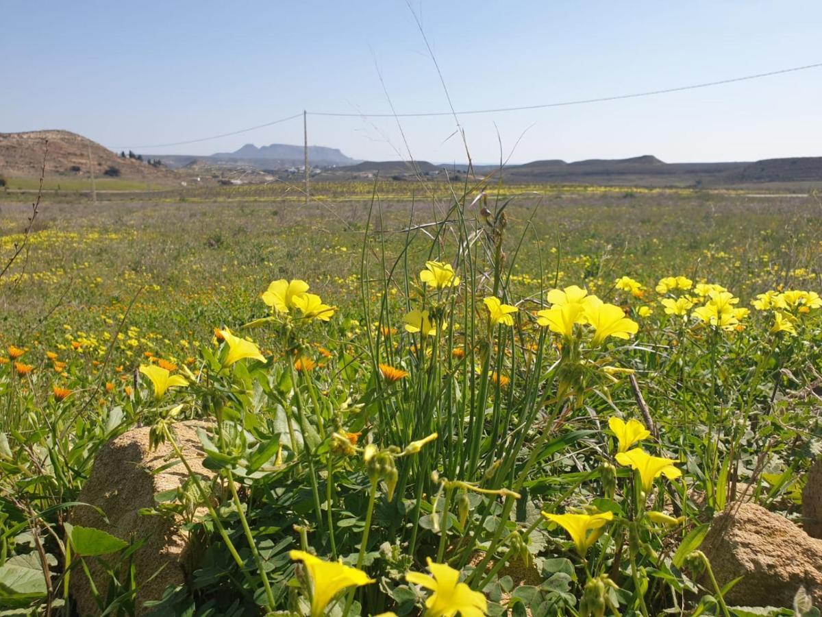 Villa El Molino De Arriba Níjar Esterno foto