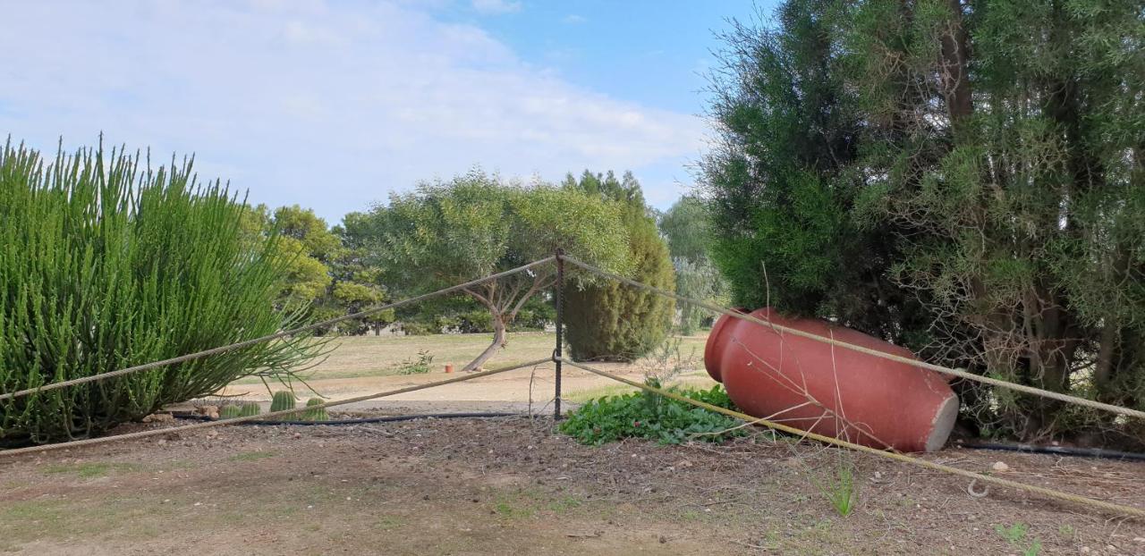 Villa El Molino De Arriba Níjar Esterno foto