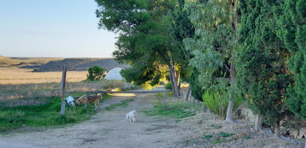Villa El Molino De Arriba Níjar Esterno foto