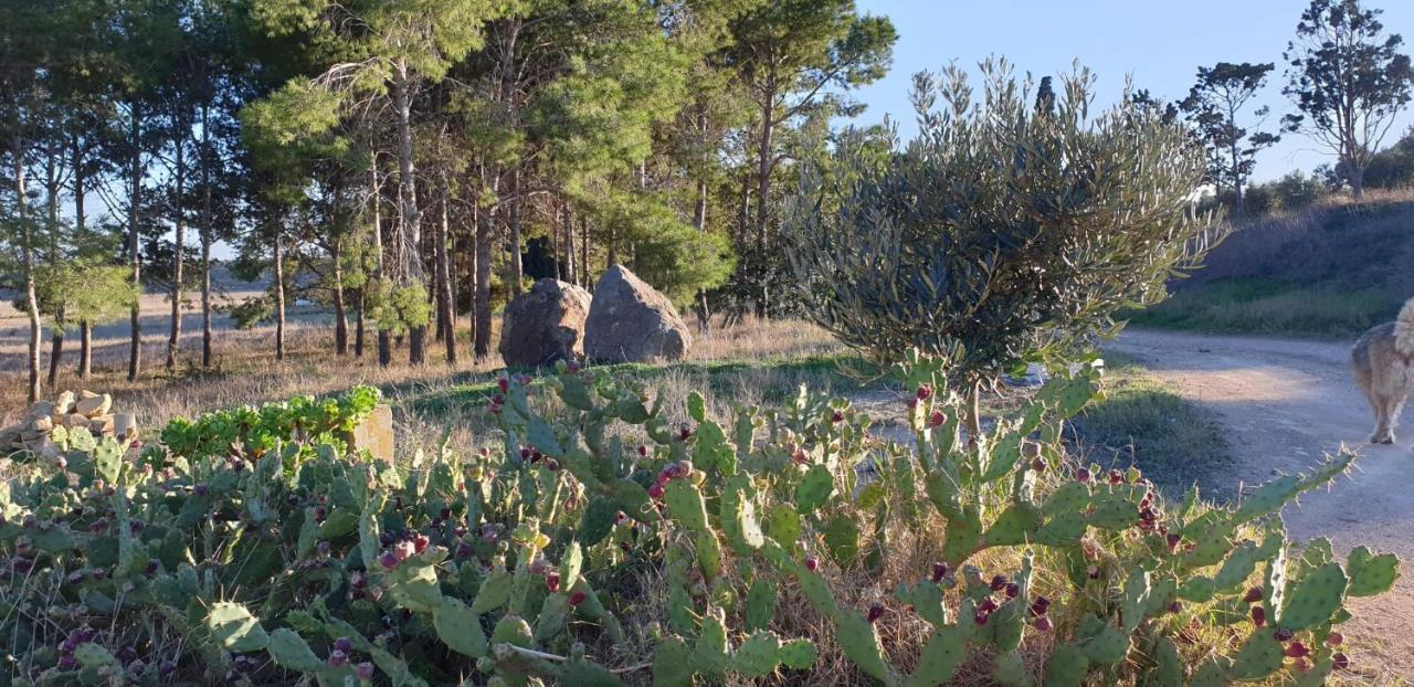 Villa El Molino De Arriba Níjar Esterno foto