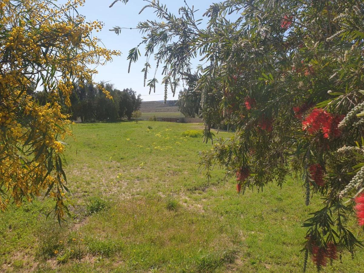 Villa El Molino De Arriba Níjar Esterno foto