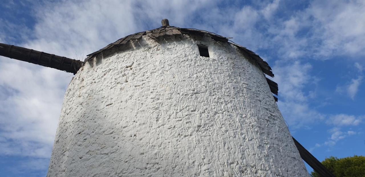 Villa El Molino De Arriba Níjar Esterno foto