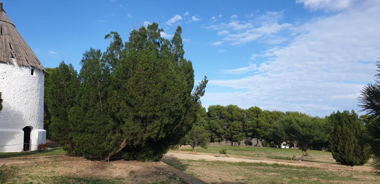 Villa El Molino De Arriba Níjar Esterno foto