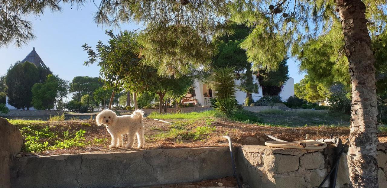 Villa El Molino De Arriba Níjar Esterno foto
